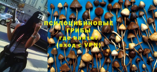 спайс Баксан