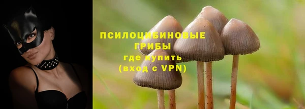 молекула духа Балахна