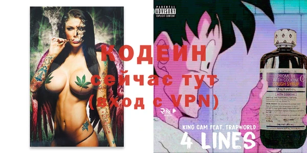 хмурый Балабаново