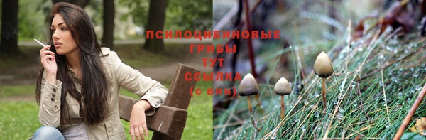 спайс Баксан