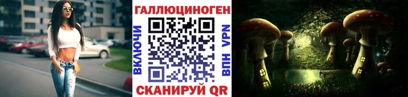 цены наркотик  Пятигорск  Галлюциногенные грибы мицелий 
