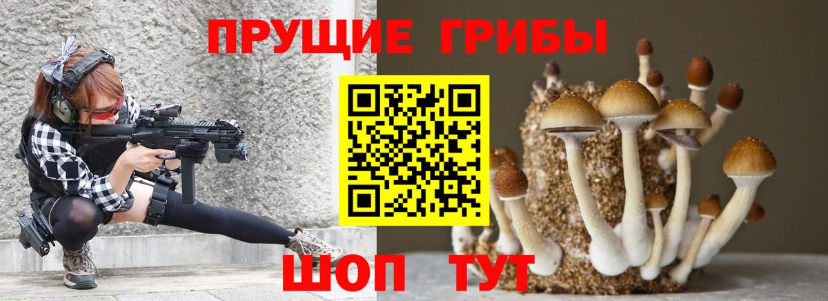 Галлюциногенные грибы GOLDEN TEACHER  Псилоцибиновые грибы Magic Shrooms  Пятигорск  Вход с VPN 
